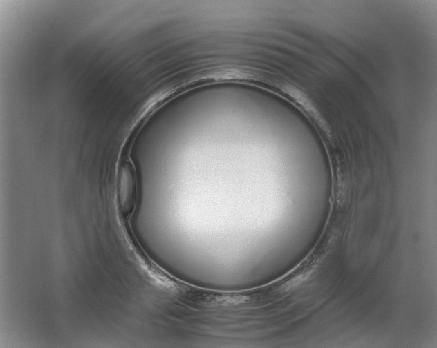 X0000062930845200601271830