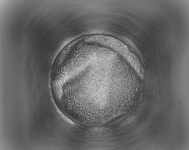 X0000062930847200601271830