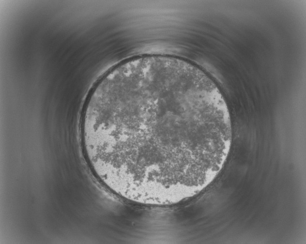 X0000062930848200601271830