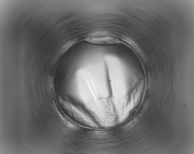 X0000062930849200601271830