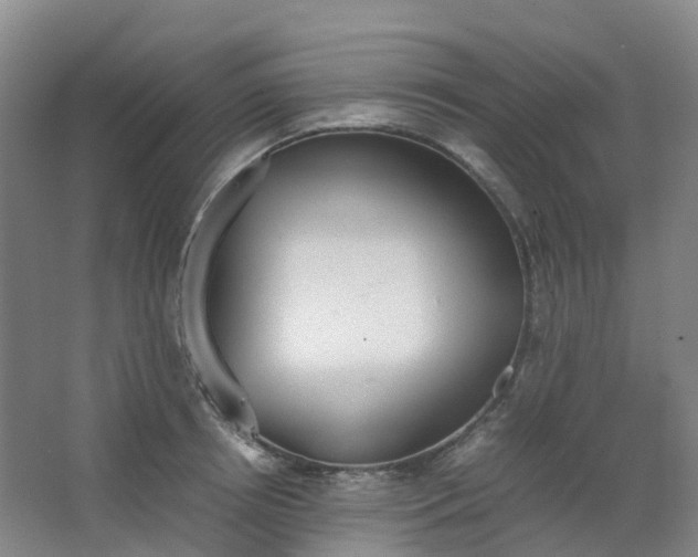 X0000062930850200601271830