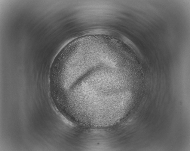 X0000062930852200601271830