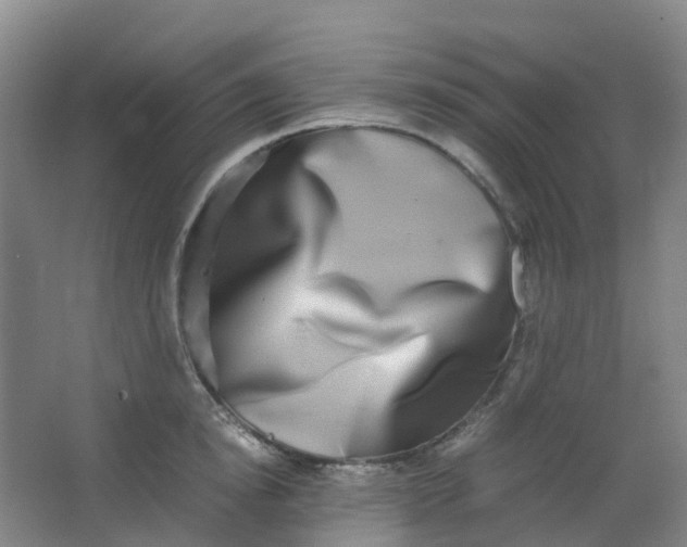 X0000062930854200601271830