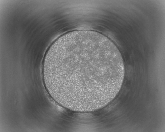 X0000062930856200601271830