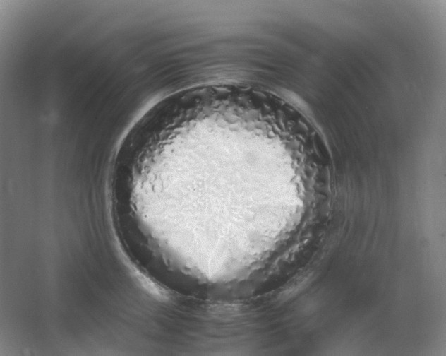 X0000062930859200601271830