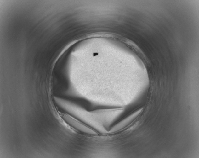 X0000062930860200601271830