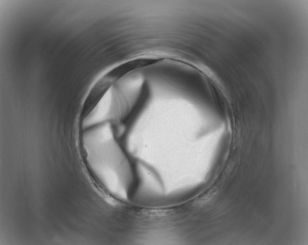 X0000062930862200601271830