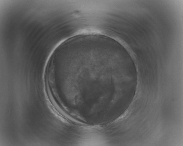 X0000062930864200601271830