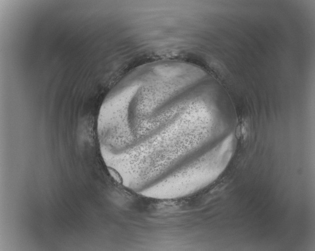 X0000062930867200601271829