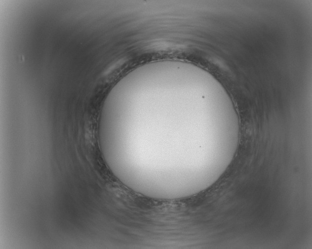 X0000062930869200601271829