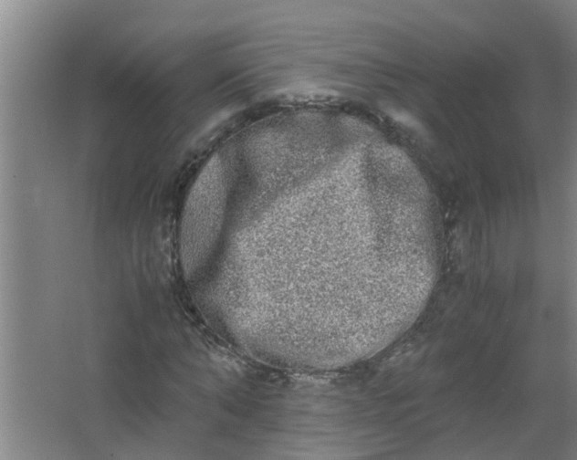 X0000062930870200601271829