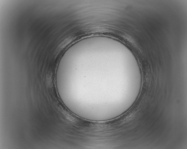 X0000062930873200601271829