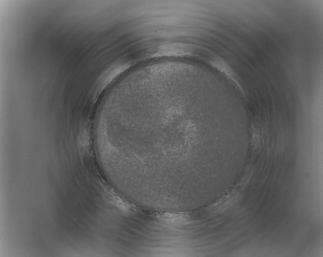 X0000062930874200601271829