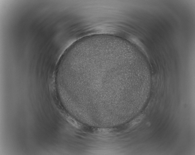 X0000062930875200601271829