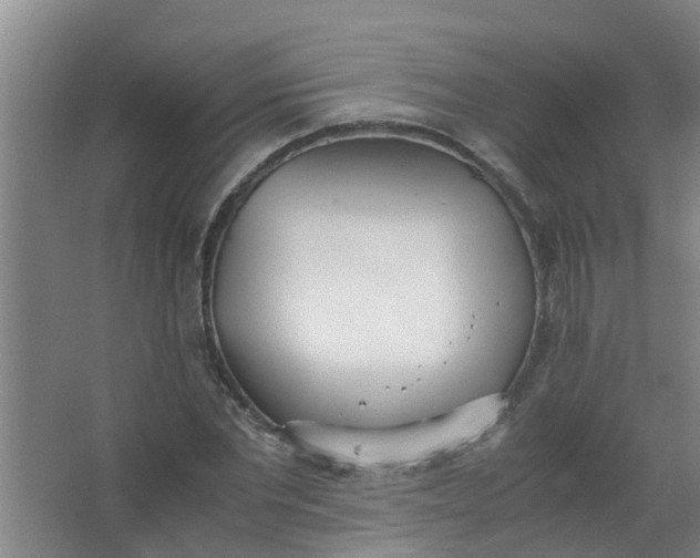 X0000062930877200601271829