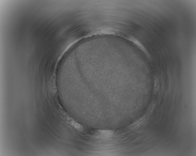 X0000062930878200601271829