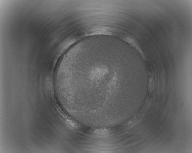 X0000062930882200601271829