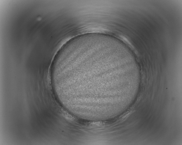 X0000062930883200601271829