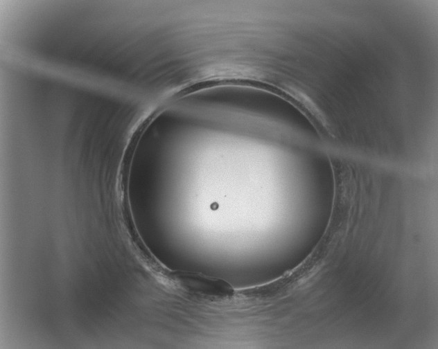 X0000062930885200601271829