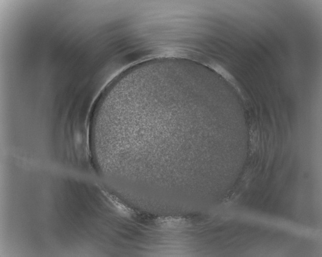 X0000062930886200601271829