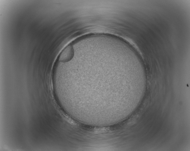 X0000062930887200601271829