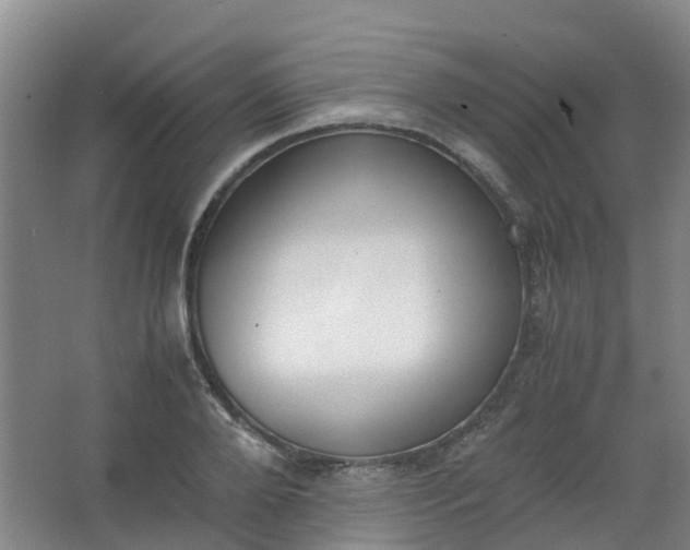 X0000062930888200601271829