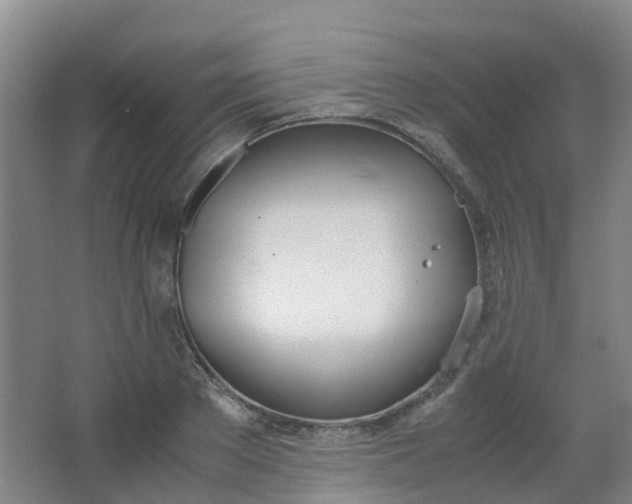 X0000062930889200601271829