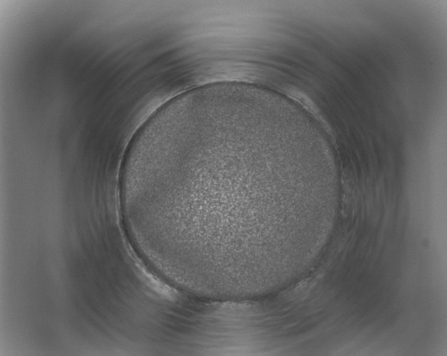 X0000062930890200601271829