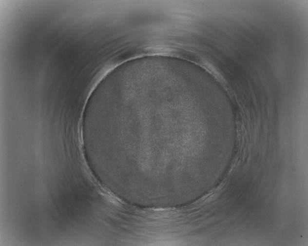 X0000062930891200601271829