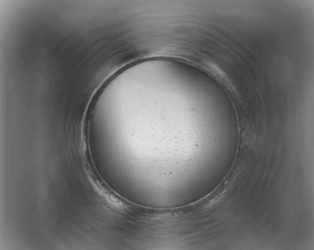 X0000062930892200601271829