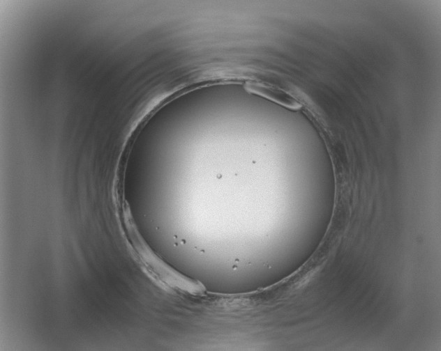 X0000062930893200601271829