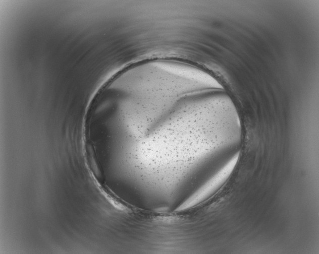 X0000062930894200601271829