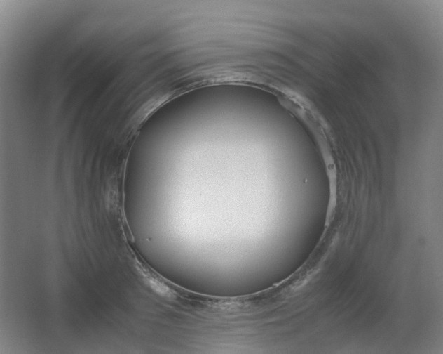 X0000062930897200601271829