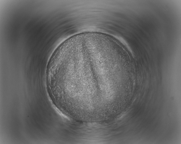 X0000062930903200601271829