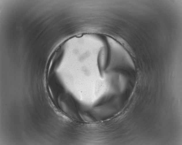 X0000062930904200601271829