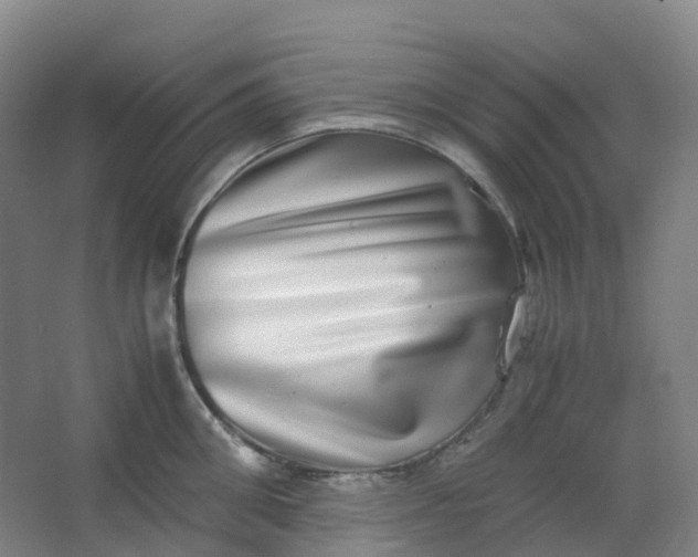 X0000062930906200601271829