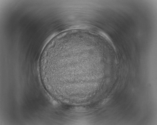 X0000062930907200601271829