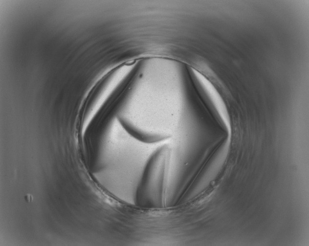 X0000062930908200601271829