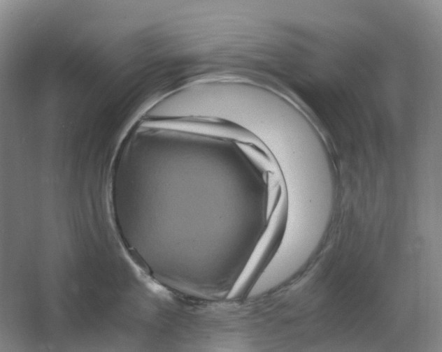 X0000062930909200601271829