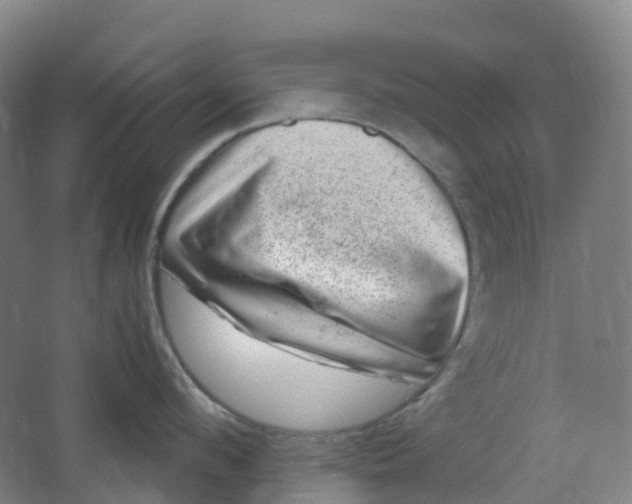 X0000062930912200601271829