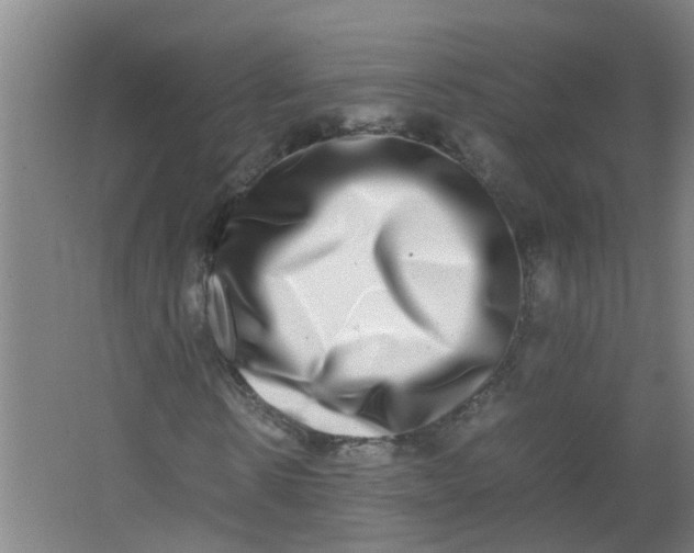 X0000062930914200601271828