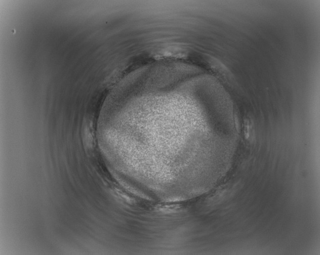 X0000062930915200601271828