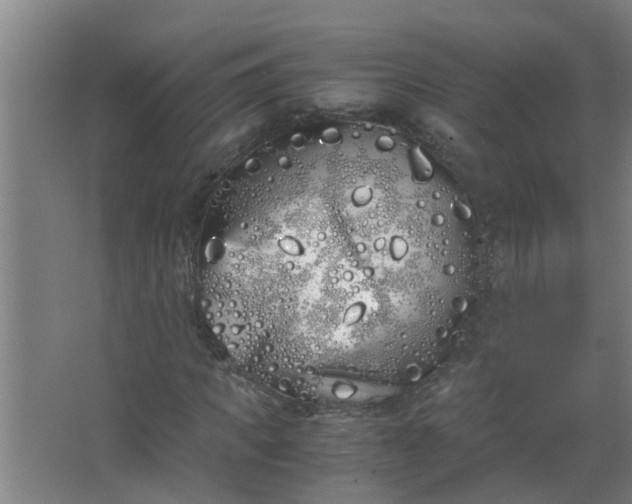 X0000062930917200601271828