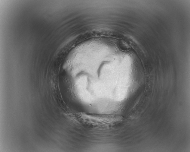 X0000062930919200601271828