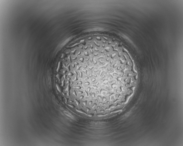 X0000062930921200601271828