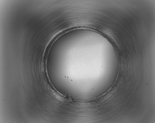 X0000062930924200601271828