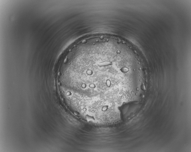 X0000062930925200601271828