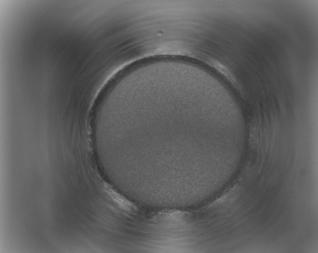 X0000062930926200601271828