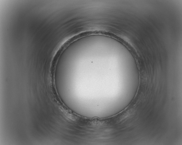 X0000062930927200601271828