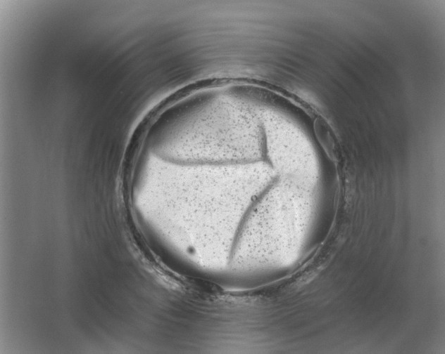 X0000062930928200601271828